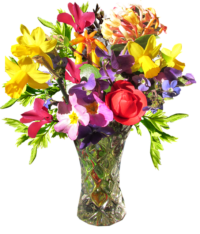flower