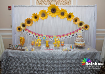 Ritul & Ankit – Baby Shower