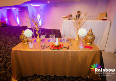 Kiran and Manasas Reception