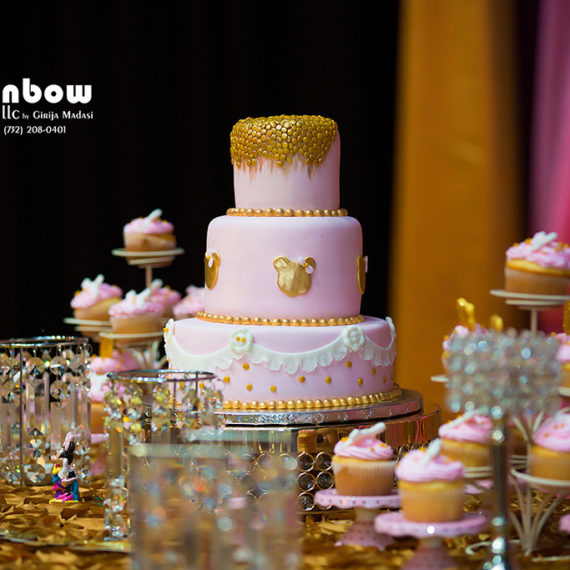 First Birthday Party