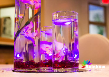 Sravanthi’s Reception